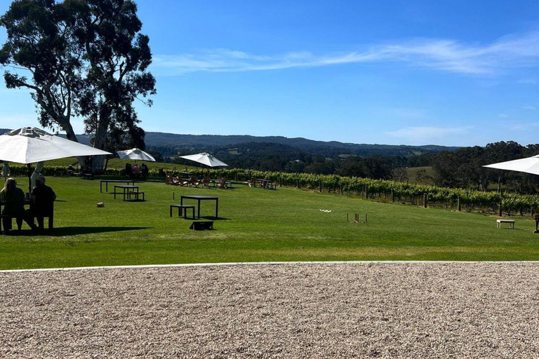 Tour del vino della McLaren Vale e del centro storico di Hahndorf