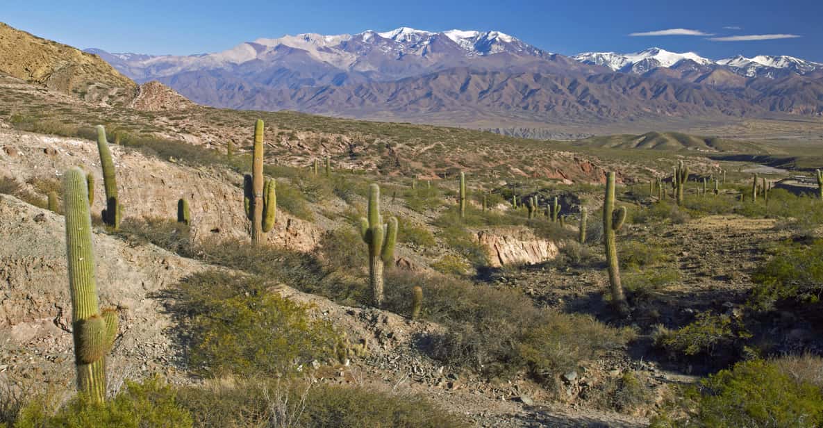From Salta: Full-Day Scenic Tour to Cachi