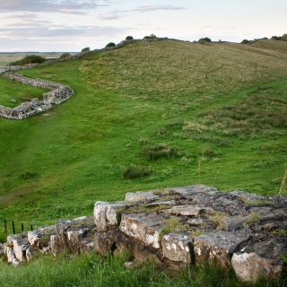 Hadrian's Wall: 4-Hour Guided Tour