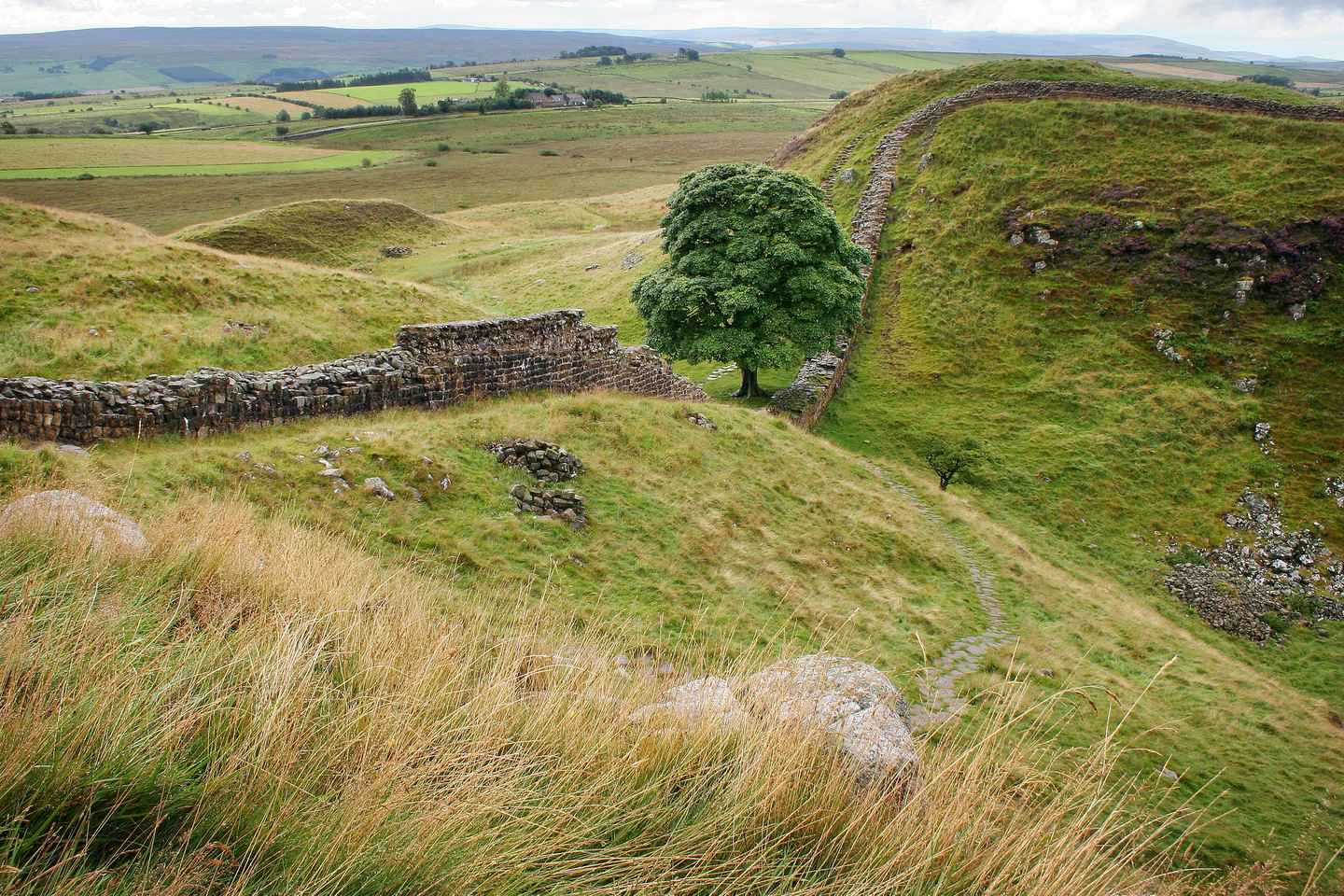 Hadrian's Wall: 4.5-Hour Guided Tour