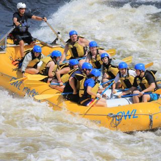 Foresters Falls: Adventure Rafting on the Ottawa River