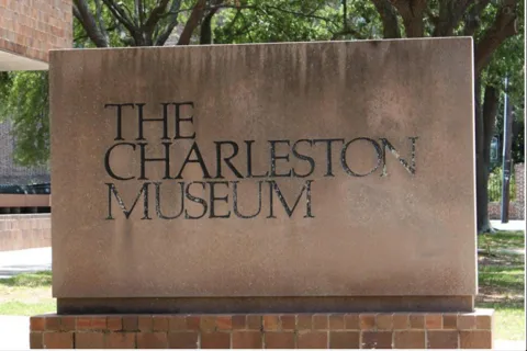 Charleston: City Tour with Charleston Museum Entry Combo