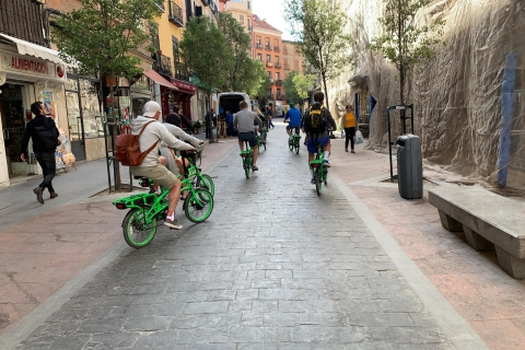 Madrid: Literatuurkwartier & Retiro-fietstocht met elektrische fiets
