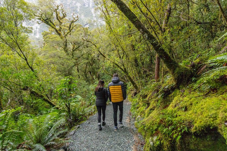 Milford Sound: Premium Small Group Tour from Queenstown From Queenstown: Small Group Tour with Glass Roof