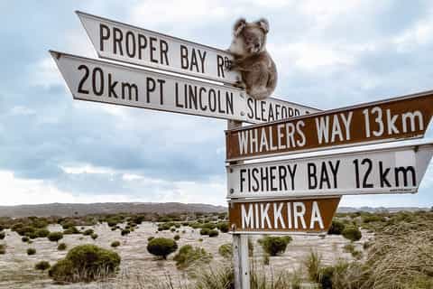 Port Lincoln Day Tour: Eyre Peninsula