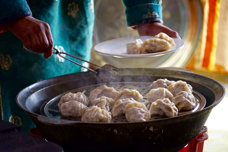 Ulaanbaatar: Semi-Gobi-woestijn-dagtrip & kameel- of paardrijtocht