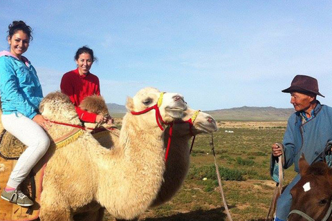 Ulaanbaatar: excursión de un día al desierto de Semi-Gobi y paseo en camello o caballo