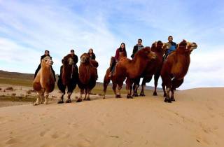 Ulan bator: Semi-Gobi-Tagestour & Kamel- oder Pferderitt