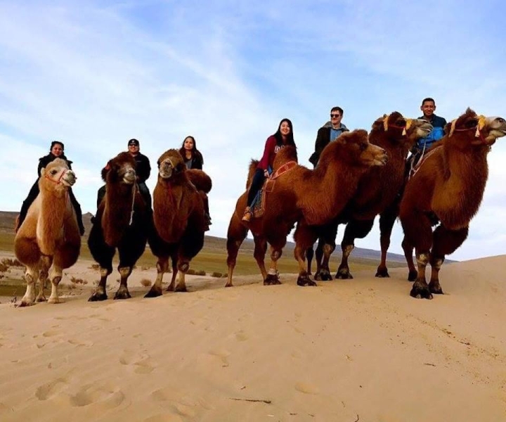 Ulán Bator: Excursión de un día por el desierto del Semi-Gobi y paseo en camello o a caballo