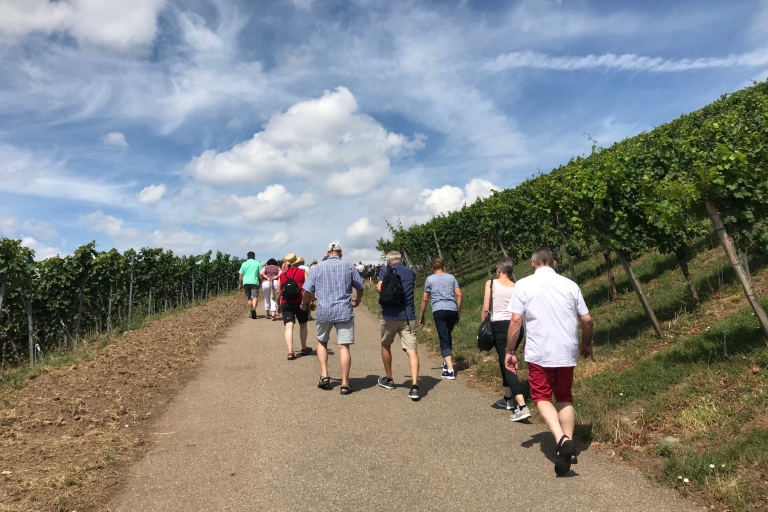 Stuttgart: Guided Wine Walk & Wine Tasting Tour from Stuttgart-Feuerbach