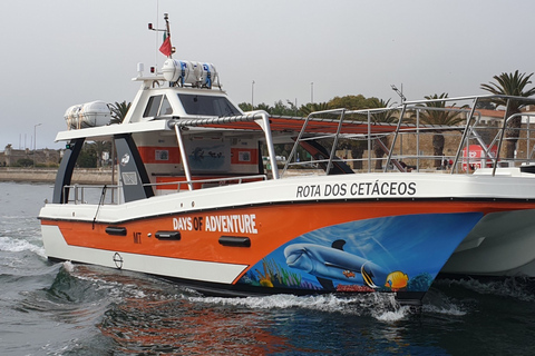 Depuis Lagos : visite familiale de Benagil en catamaran