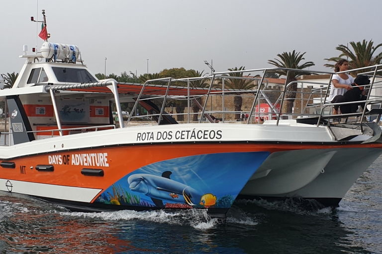 Desde Lagos: tour de Benagil para familias en catamarán