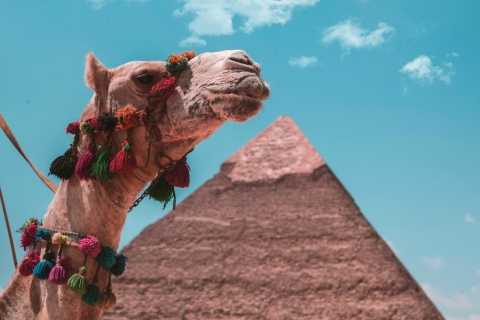Kair: Piramidy, Bazar, Wycieczka po Cytadeli z FotografemWspólna wycieczka