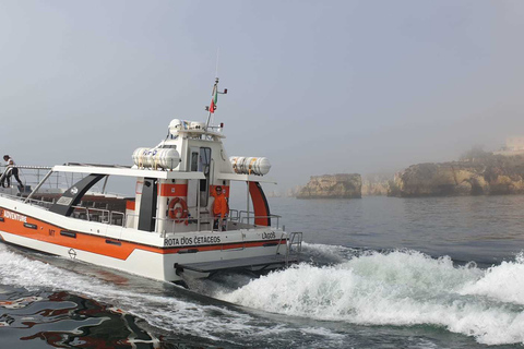 Diversão em Família: Benagil de Catamarã saindo de LagosBenagil: Excursão de Catamarã em Família saindo de Lagos