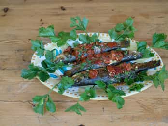 Viareggio: Cooking Class at a Local's Home