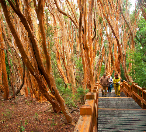 National parks