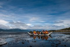 Ushuaia: Ilha Gable e Colônia de Pinguins com Canoagem