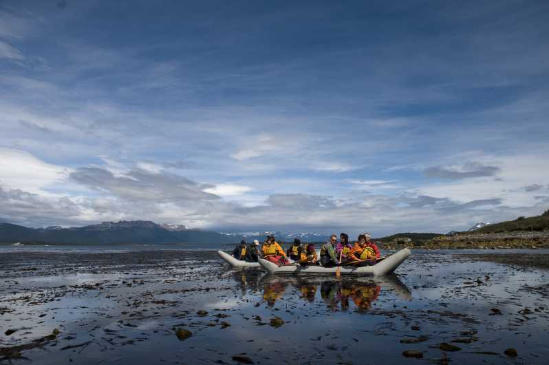 Ushuaia: Isola Gable e colonia di pinguini in canoa