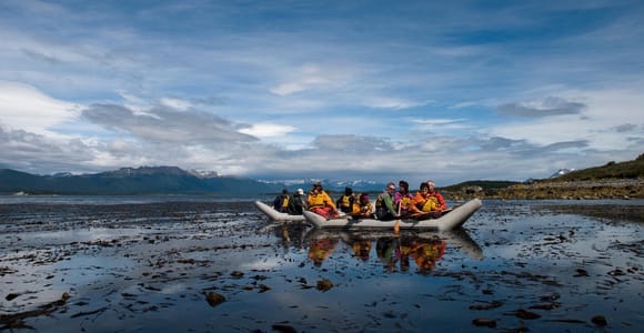 Ushuaia: Isla Gable y colonia de pingüinos con piragüismo
