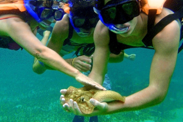 Riviera Maya: Two-Reef Snorkeling Experience Riviera Maya: Two-Reef Snorkeling Experience with Lunch
