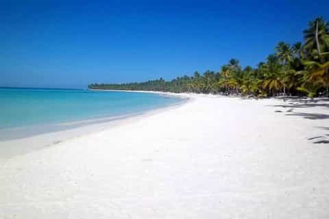 Bayahíbe: isla Saona con almuerzo de langosta opcional