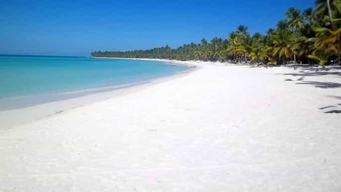 bayahibe saona island day trip with optional lobster lunch