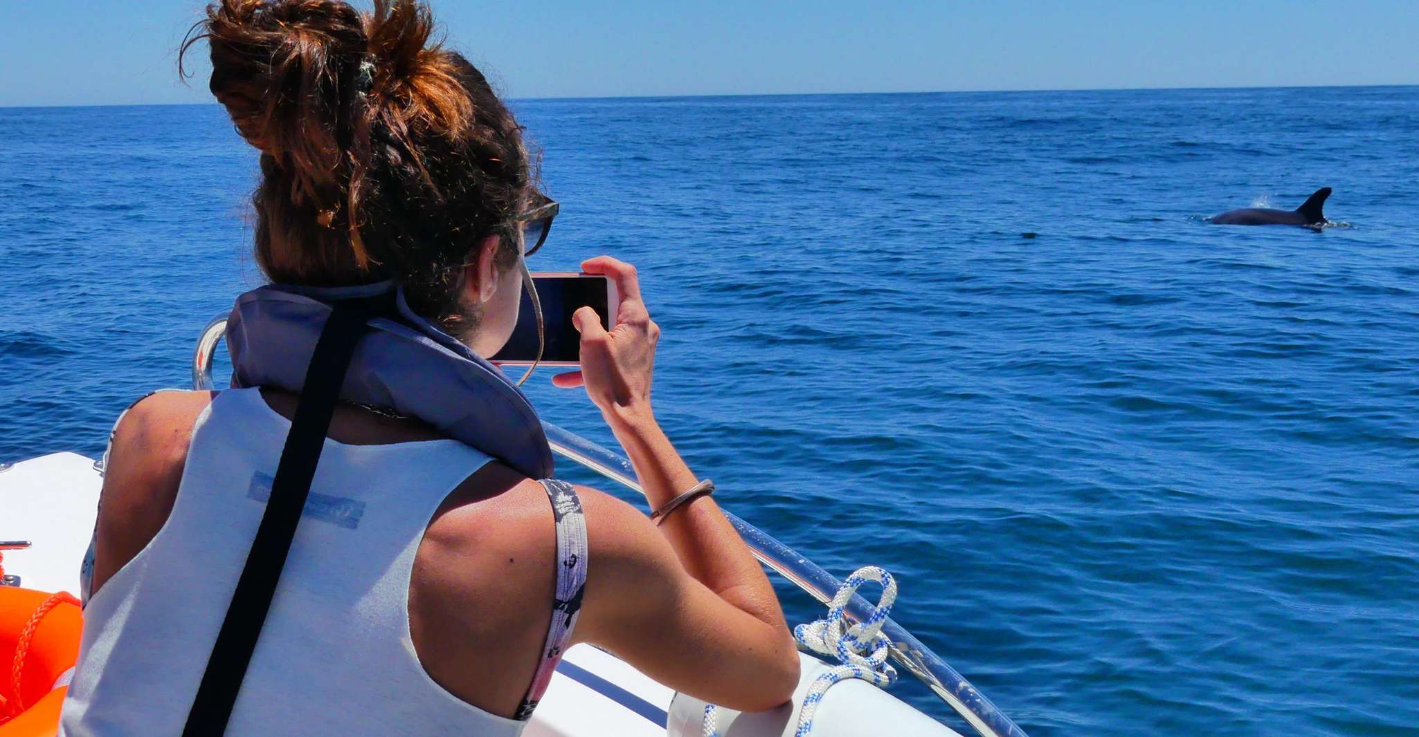 Faro, Dolphin and Wildlife Watching in the Atlantic Ocean - Housity