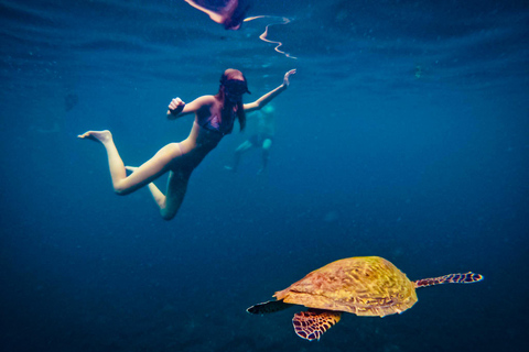 Ko Tao: Late Riser Snorkeling Tour with Lunch and Photos