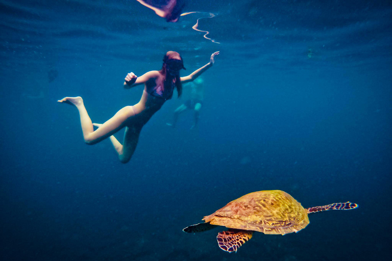 Ko Tao: Late Riser Snorkeling Tour with Lunch and Photos