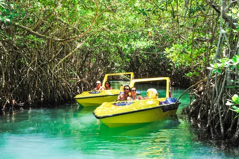 Cancun: Tour della giungla di mangrovie e snorkeling in motoscafo