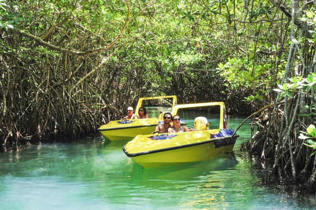 Visit Cancun Speedboat Mangrove Jungle & Snorkel Tour in Cancun