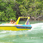 Cancun: Speedboat Mangrove Jungle & Snorkel Tour | GetYourGuide