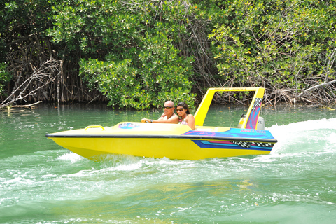 Cancun: speedboat door mangrovejungle & snorkelen