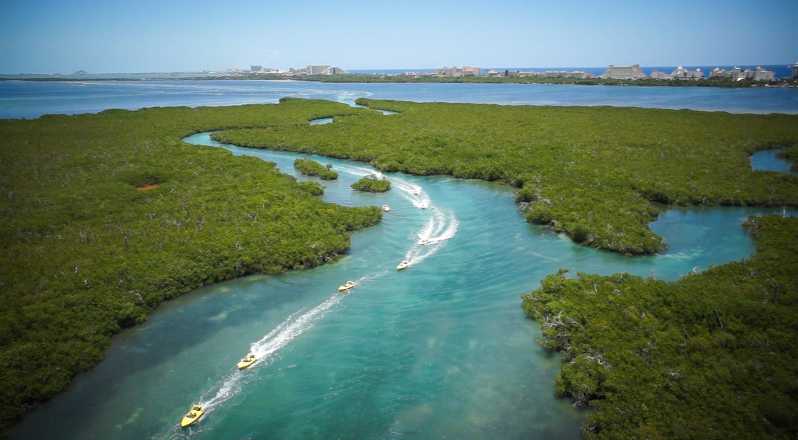 cancun mangrove tour