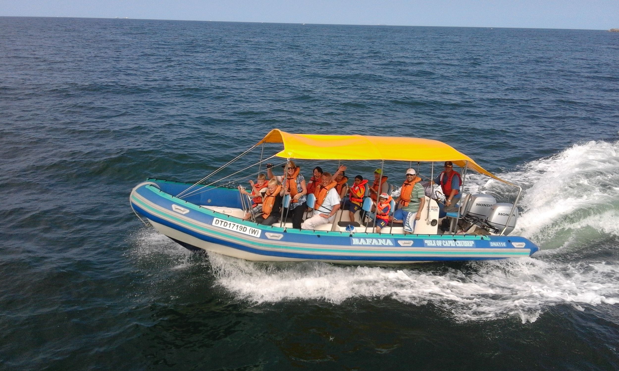 Durban: Bootstour zum Beobachten von Walen und Delfinen