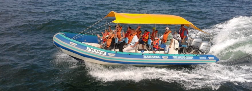 Durban: Tour en bateau pour l'observation des baleines et des dauphins