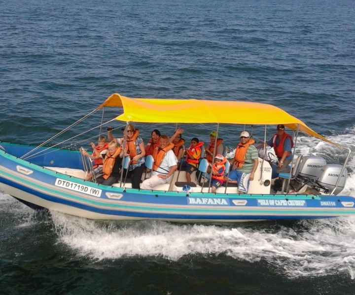 Durban: Durban: Whale and Dolphin Watching Boat Tour