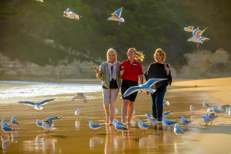 Van Melbourne Great Ocean Road And 12 Apostles Full Day Tour Getyourguide 0602