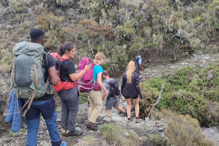 Arusha : un trekking de 3 jours au Mont Meru comprenant l'hôtel
