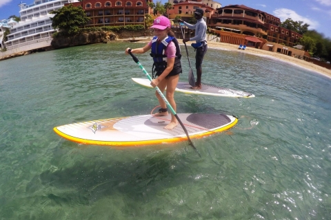 Sosua: journée à la plage et embarquement pour le stand up paddle