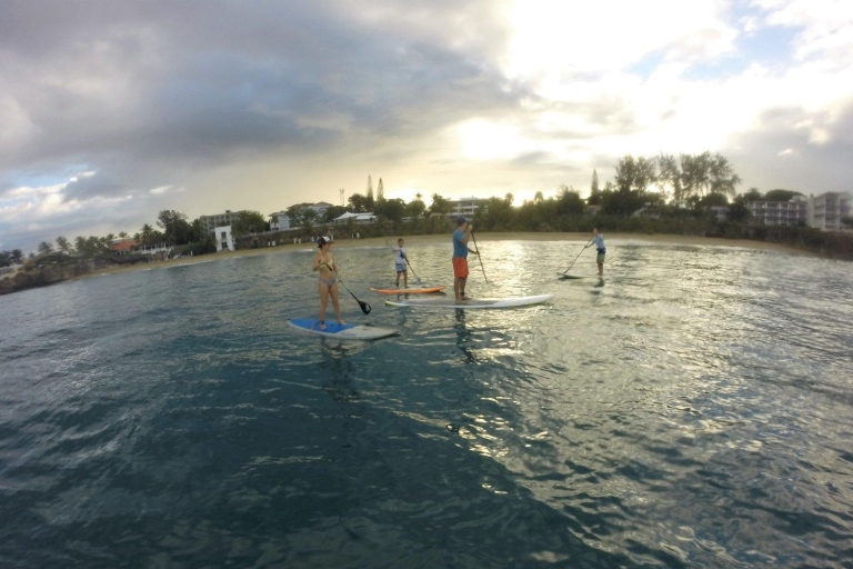 Sosua: journée à la plage et embarquement pour le stand up paddle