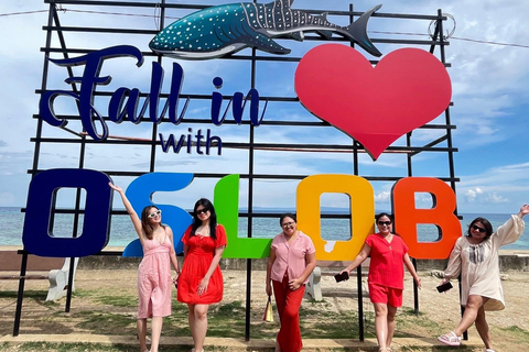 Oslob: Whale Shark Snorkeling Experience