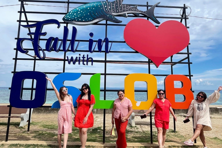 Oslob: Whale Shark Snorkeling Experience