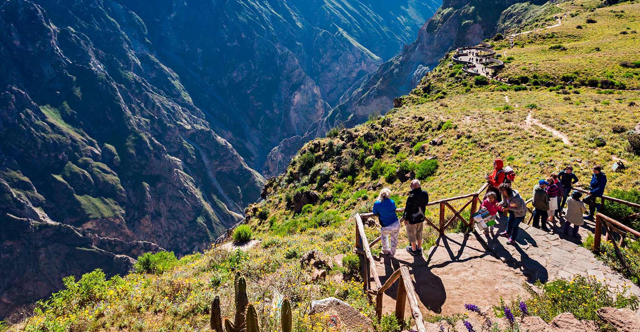 Flight of the condor in Colca 2 days 1 night - Housity