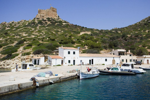 Colonia Sant Jordi: tour Premium e veloce in barca intorno a CabreraGiro veloce