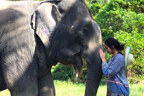 Krabi: Ao Nang Elephant Sanctuary Half-Day Tour