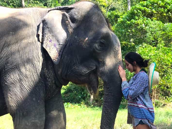 Krabi: Ao Nang Elephant Sanctuary Half-Day Tour | GetYourGuide