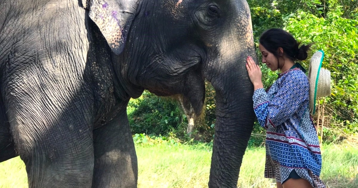 Krabi: Ao Nang Elephant Sanctuary Half-Day Tour | GetYourGuide