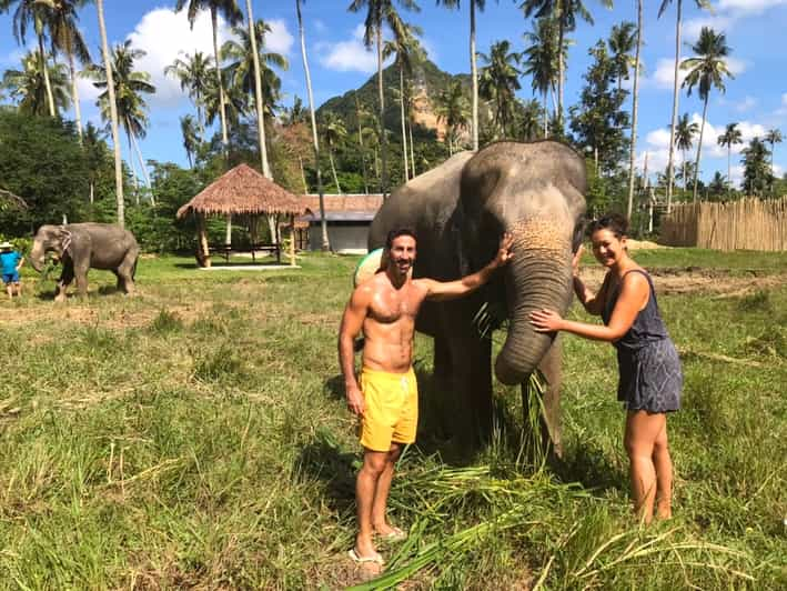 Krabi: Ao Nang Elephant Sanctuary Half-Day Tour | GetYourGuide