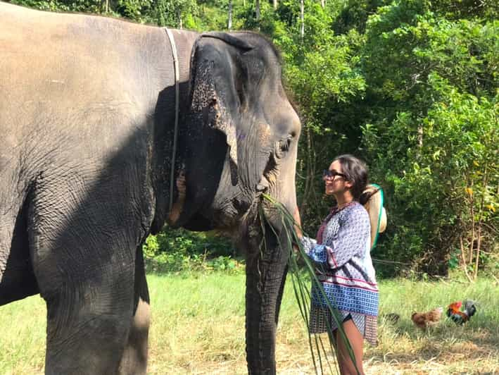 Krabi: Ao Nang Elephant Sanctuary Half-Day Tour | GetYourGuide